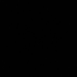 Meet your Posher, Josie